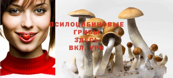 круглые Абаза